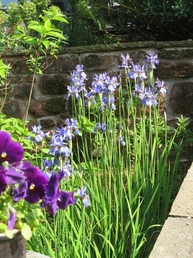Rock Farm Bed and Breakfast Tarporley Exterior foto